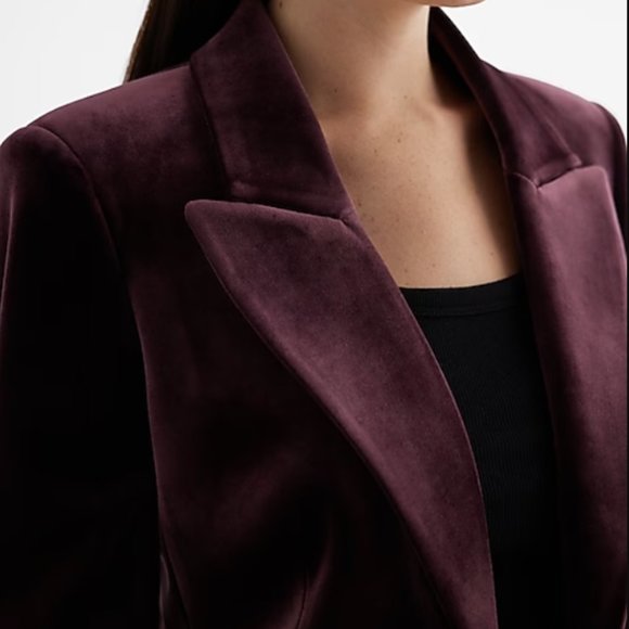 Express Velvet One Button Blazer - Picture 2 of 7